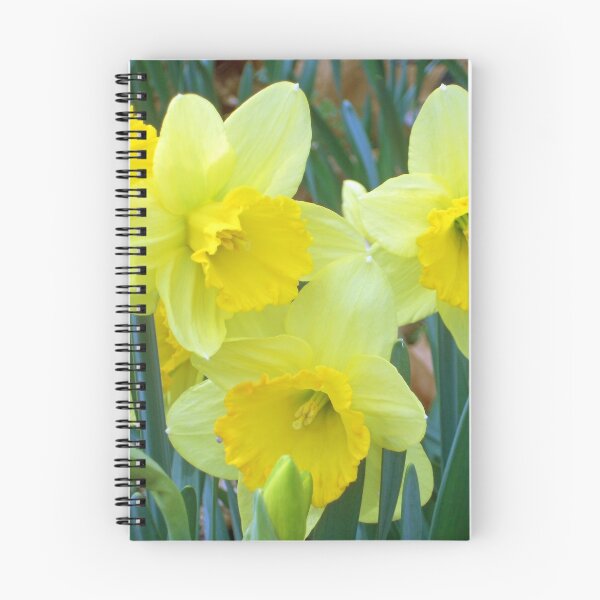 Item preview, Spring Quartet designed and sold by MarjorieB.