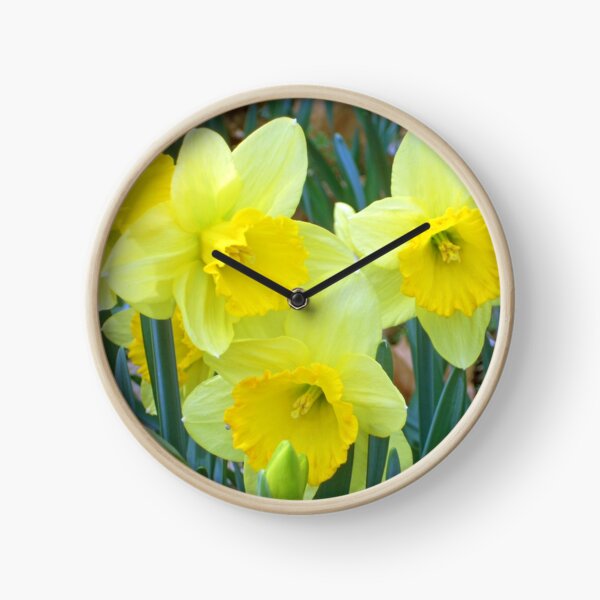 Spring Quartet Clock