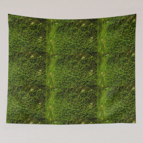 Item preview, Musgo designed and sold by LivEasy.