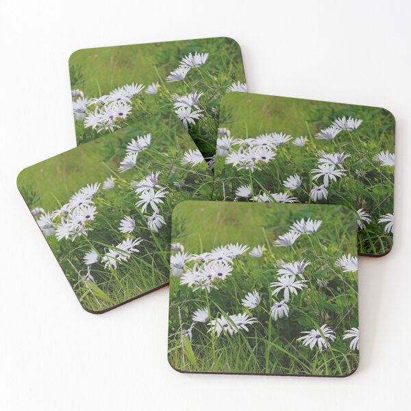 Item preview, White Osteospermum flowers designed and sold by hendrikspix.