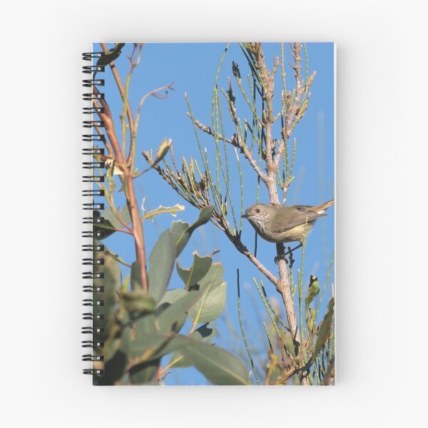 Item preview, Inland Thornbill Australian native bird designed and sold by hendrikspix.