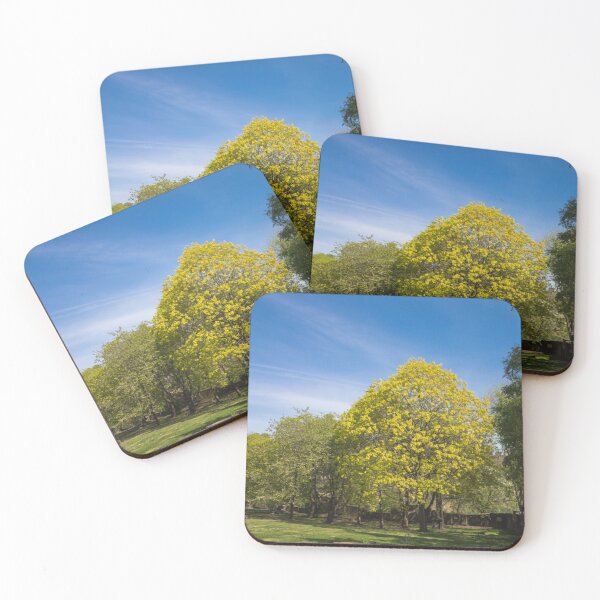 Item preview, Sunny Day in Glasgow East End designed and sold by HJoPhotography.