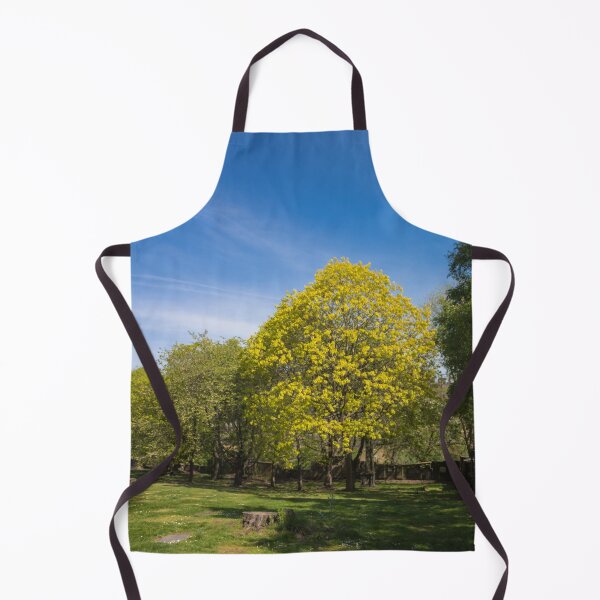 Item preview, Sunny Day in Glasgow East End designed and sold by HJoPhotography.