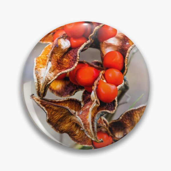 Item preview, Iris foetidissima designed and sold by JEZ22.