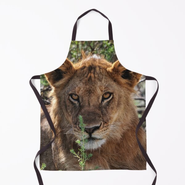 Item preview, "Eye to Eye" designed and sold by Andreas Koerner.
