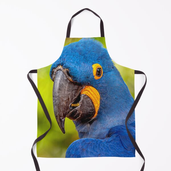 Item preview, Head of cheeky Hyacinth Macaw designed and sold by Dalyndigital Photography.