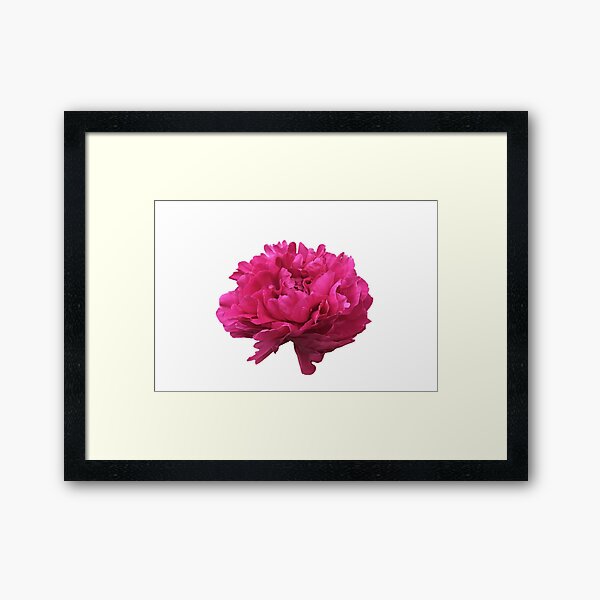 Item preview, Large Hot Pink Peony  designed and sold by InalterataArt.