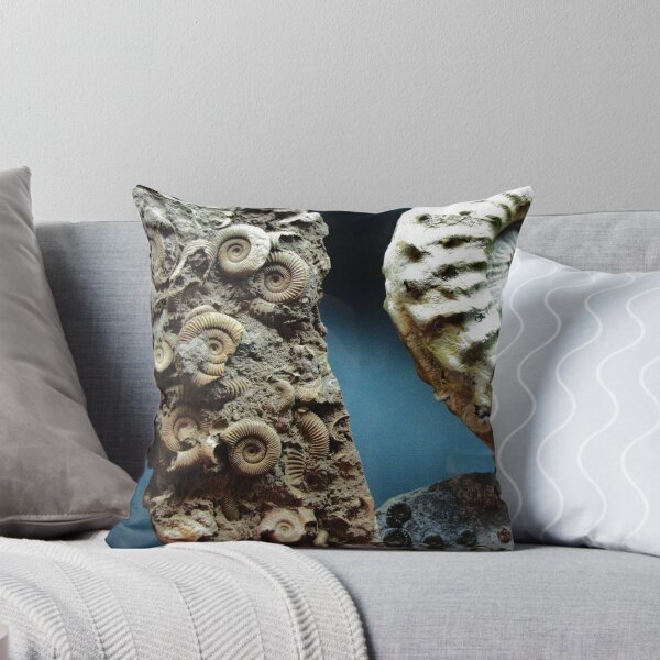 Item preview, Fossilized Seashells designed and sold by Diane Arndt.