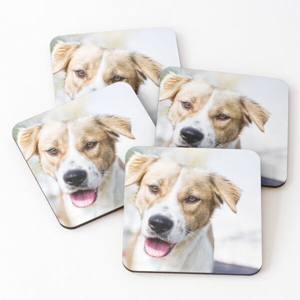 Item preview, Man's best friend designed and sold by noblephoto.