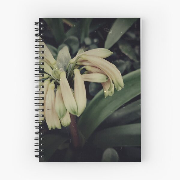 Item preview, Vintage Clivias designed and sold by joseescreations.