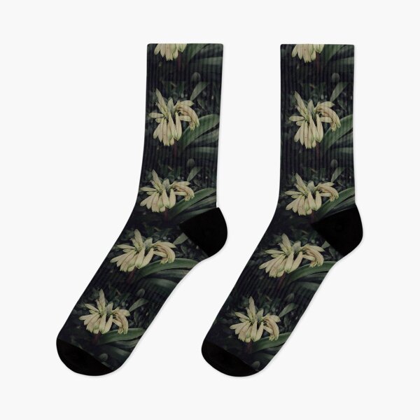 Item preview, Vintage Clivias designed and sold by joseescreations.