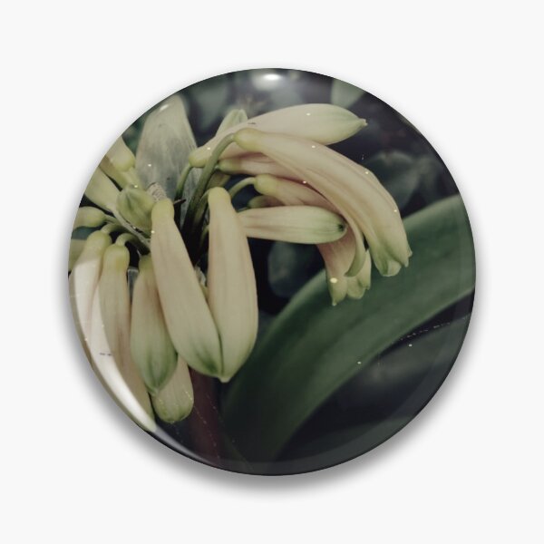 Item preview, Vintage Clivias designed and sold by joseescreations.