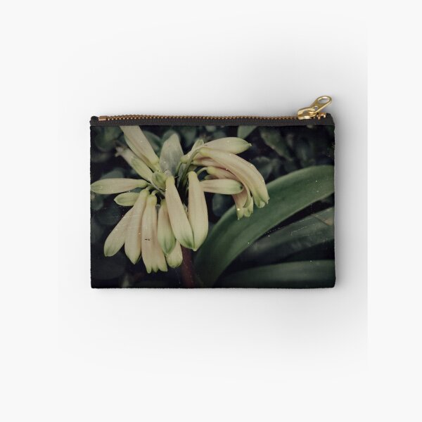 Item preview, Vintage Clivias designed and sold by joseescreations.