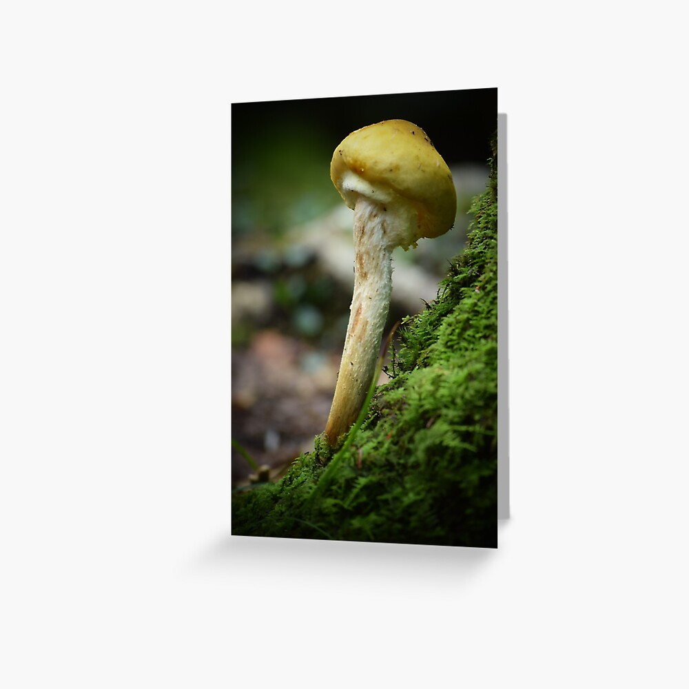 Happy Shroom Greeting Card