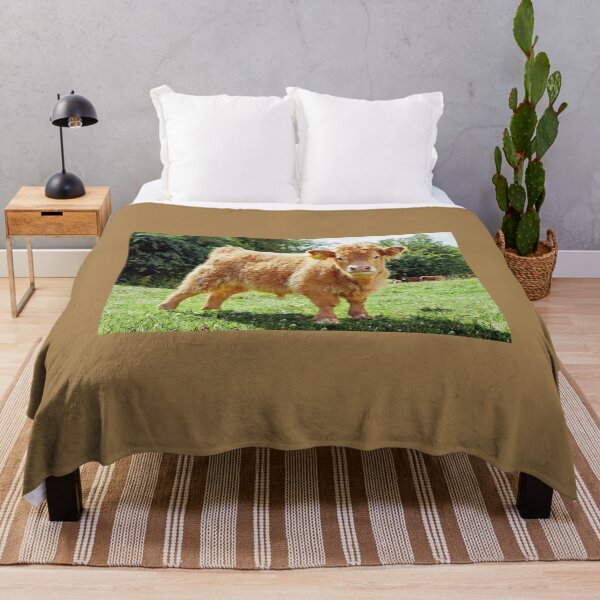 Item preview, Highland Cow, The Inquisitive Calf designed and sold by mhfore.
