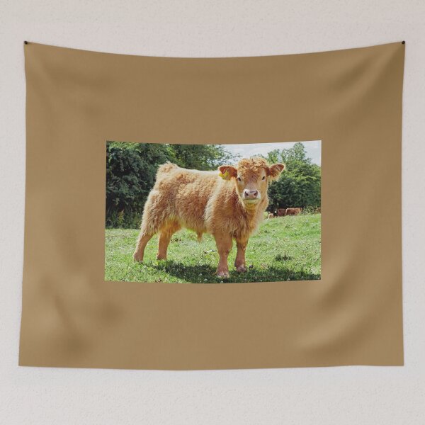 Item preview, Highland Cow, The Inquisitive Calf designed and sold by mhfore.