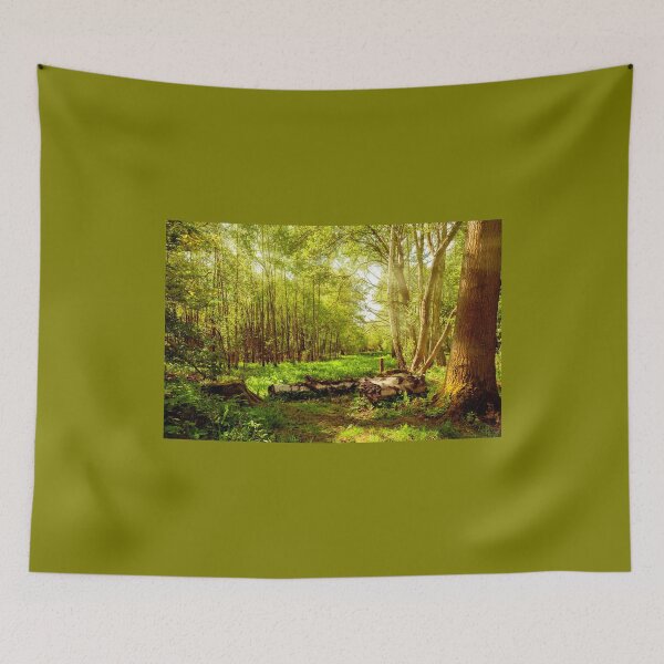 Item preview, Sunlight Walk designed and sold by mhfore.