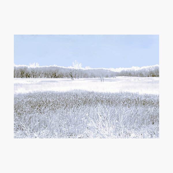 Savannah after the Blizzard Photographic Print