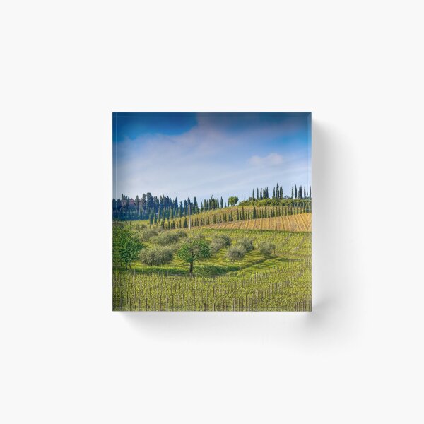 Aperçu de l'œuvre Oliviers et Vignes créée et vendue par Viv Thompson Photography .