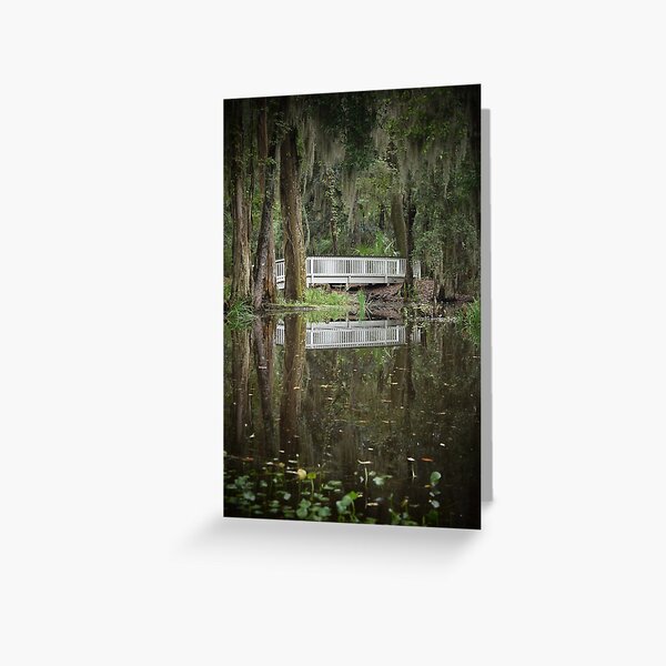Swamp Lily Bridge Greeting Card
