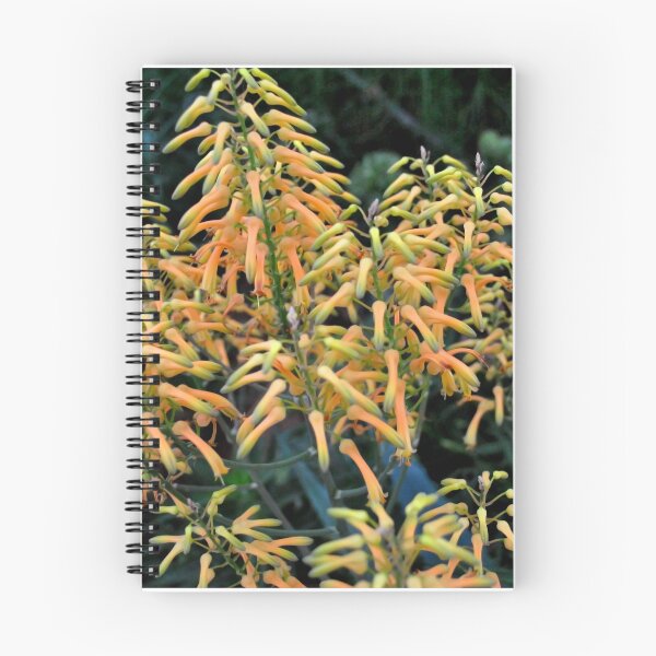Item preview, Cactus Flower:  Thorned Beauty designed and sold by MarjorieB.