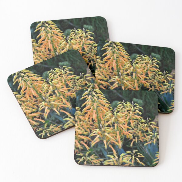 Item preview, Cactus Flower:  Thorned Beauty designed and sold by MarjorieB.