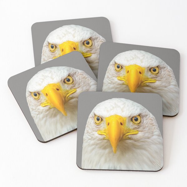 Item preview, Bald Eagle Head designed and sold by Dalyndigital Photography.