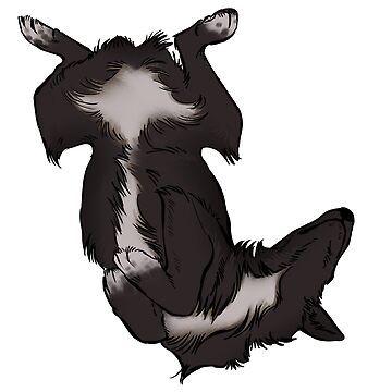 Artwork thumbnail, Border Collie by thepandemonium