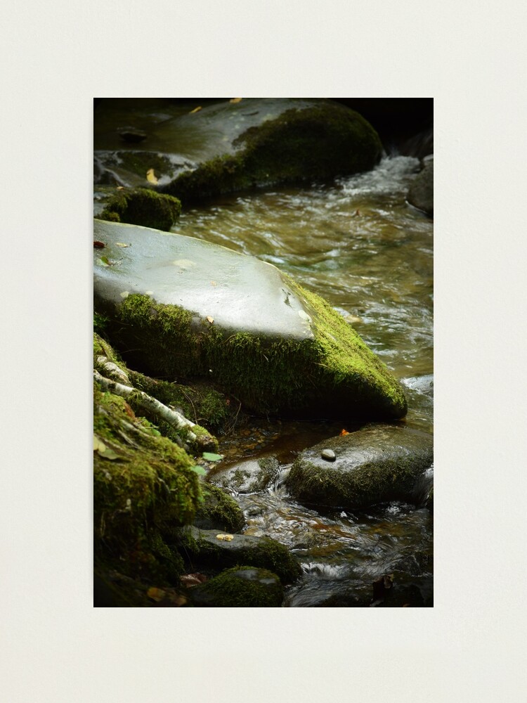 Alternate view of Tranquility Photographic Print