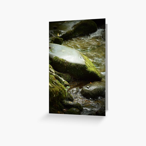 Tranquility Greeting Card