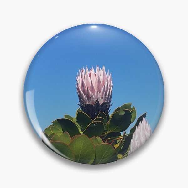 Item preview, King Protea, South Africa's National Flower designed and sold by TravelNotes.