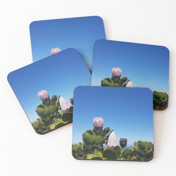 Item preview, King Protea, South Africa's National Flower designed and sold by TravelNotes.