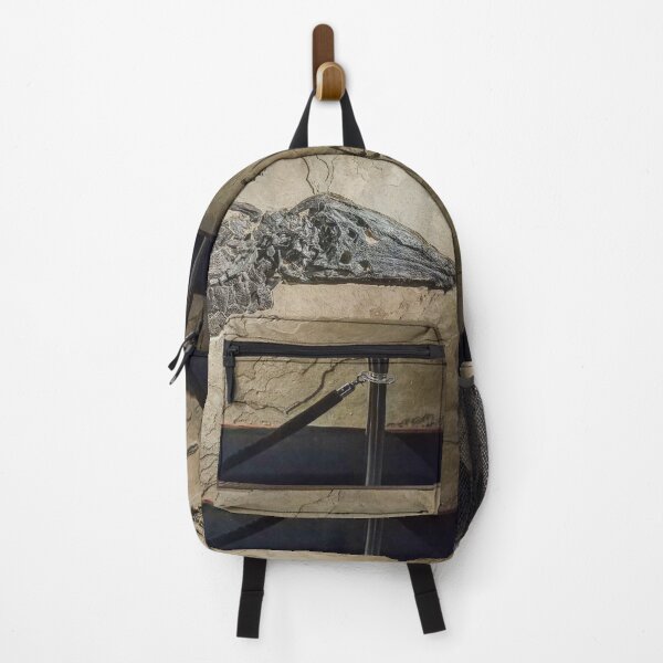 Item preview, fossil on display designed and sold by GraphicConcepts.
