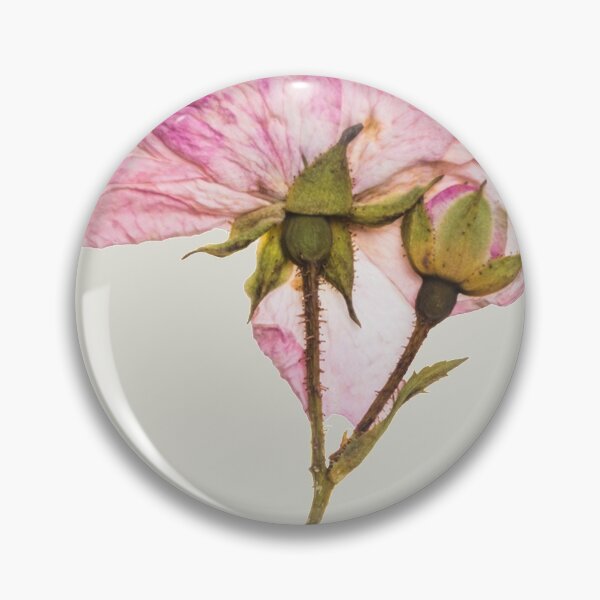 Item preview, Vintage Pressed dried rose  designed and sold by Nyanko-Sempai.