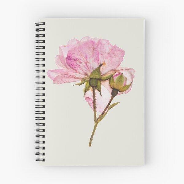 Item preview, Vintage Pressed dried rose  designed and sold by Nyanko-Sempai.