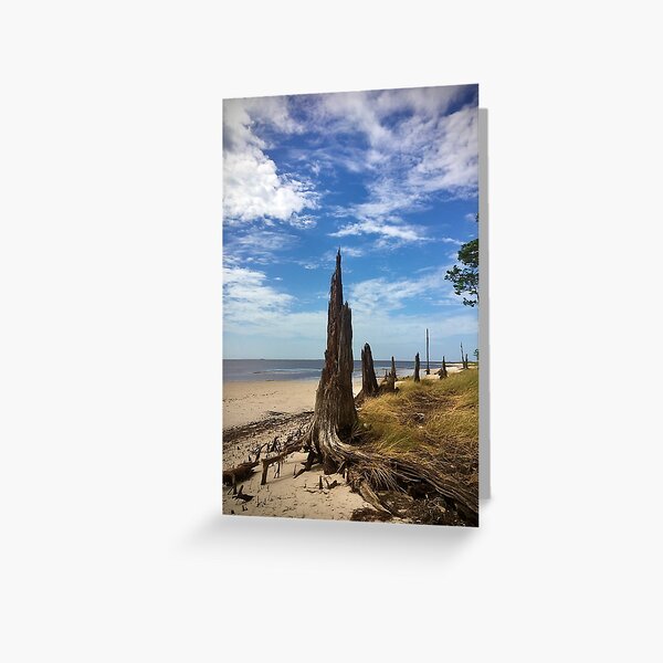 Forgotten Coast Greeting Card