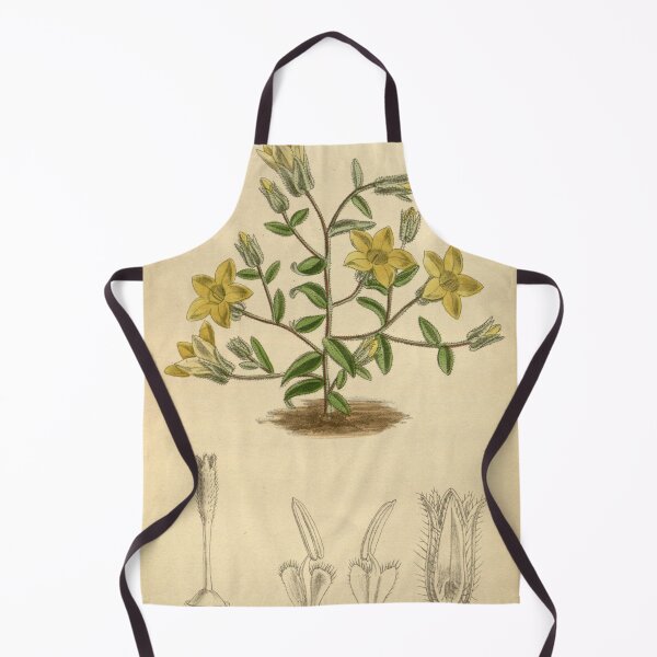 Item preview, Campanula sulphurea 145 8827 designed and sold by EsotericBotanic.