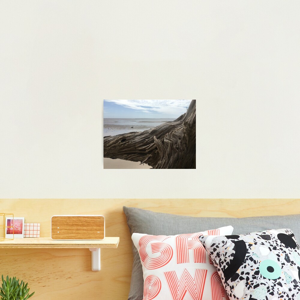 Carved by the Sea Photographic Print