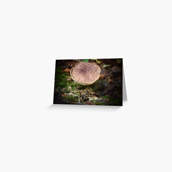 Bodacious Shroom Greeting Card