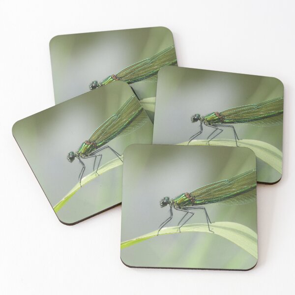 Item preview, Banded demoiselle designed and sold by NW-Photo-Art.