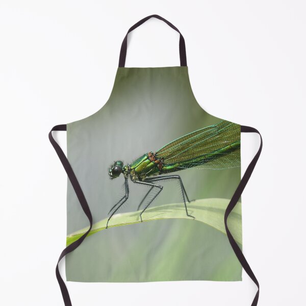 Item preview, Banded demoiselle designed and sold by NW-Photo-Art.