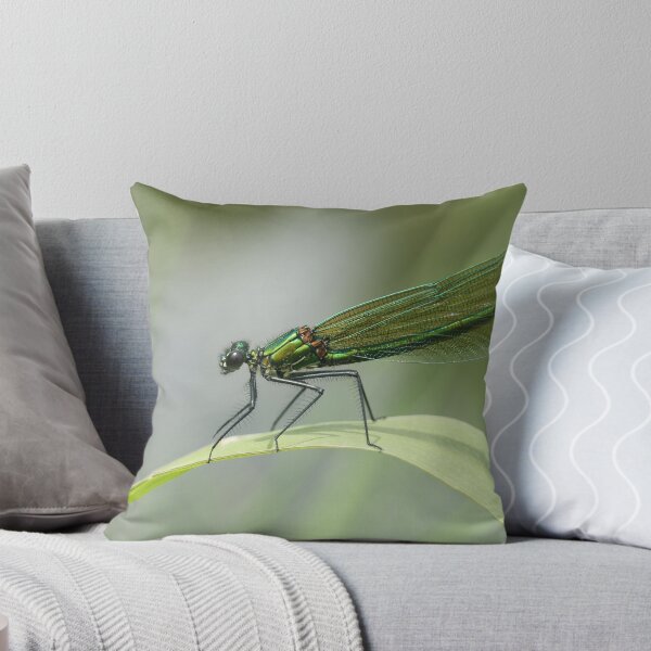 Item preview, Demoiselle con bandas designed and sold by NW-Photo-Art.