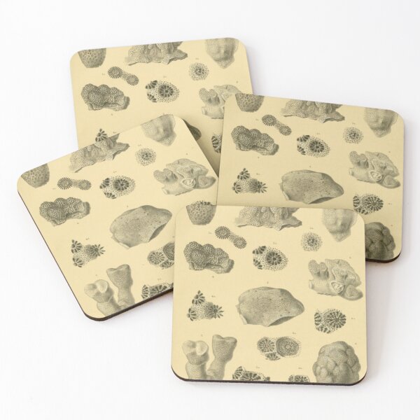 Item preview, Coral Fossils designed and sold by BlueSpecsStudio.