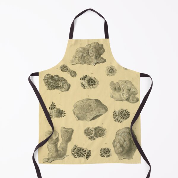 Item preview, Coral Fossils designed and sold by BlueSpecsStudio.