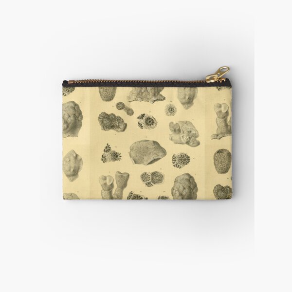 Item preview, Coral Fossils designed and sold by BlueSpecsStudio.