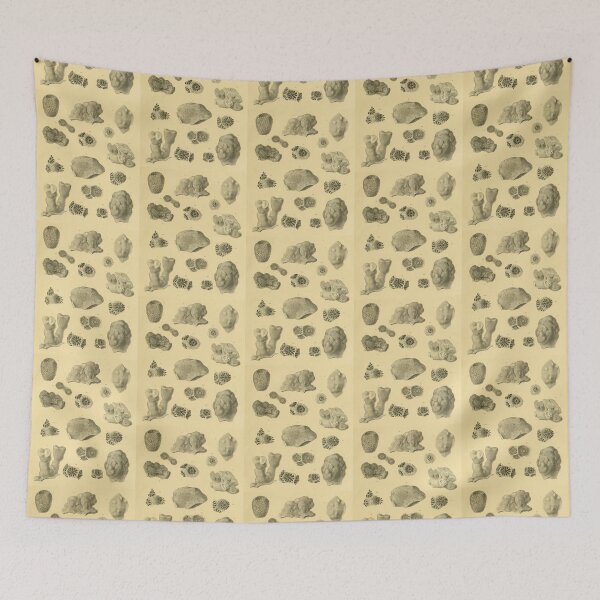 Item preview, Coral Fossils designed and sold by BlueSpecsStudio.