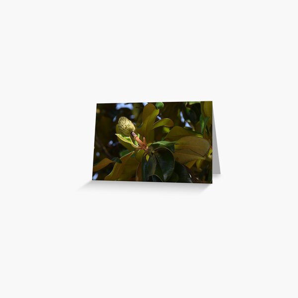 Magnolia Pom-Pom Greeting Card
