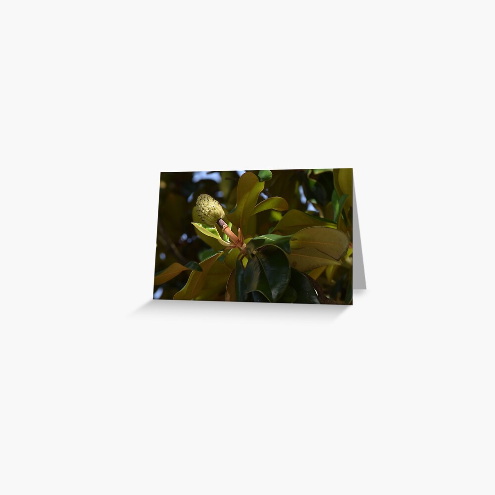 Magnolia Pom-Pom Greeting Card