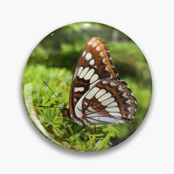 Item preview, Butterfly designed and sold by mishography.