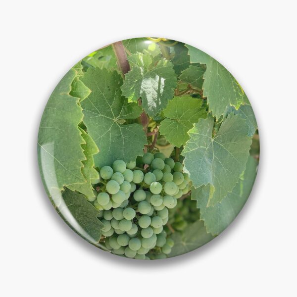 Item preview, País del vino designed and sold by mishography.